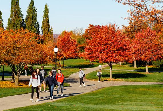 图为学生们在秋天漫步校园